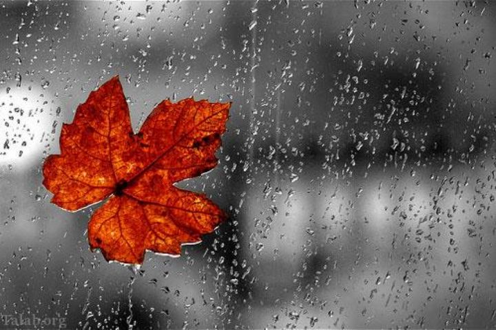 «صباهنگ» در انتظار باران پاییزی