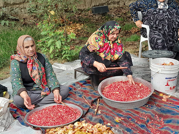 پوشش مراسم سنتی «ناردَنگ» از دریچه دوربین سیمای گلستان